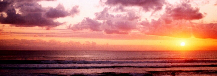 Ride the Wave to Shore
