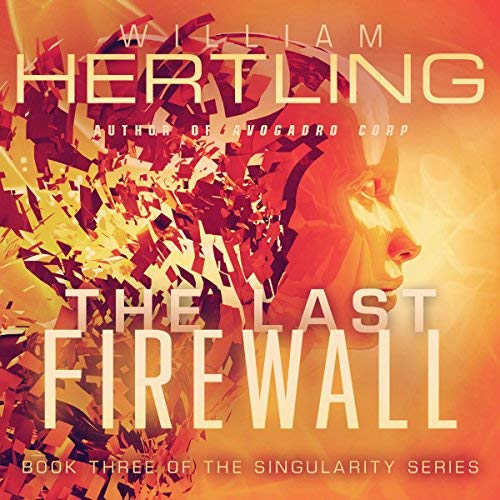 Cover of The Last Firewall